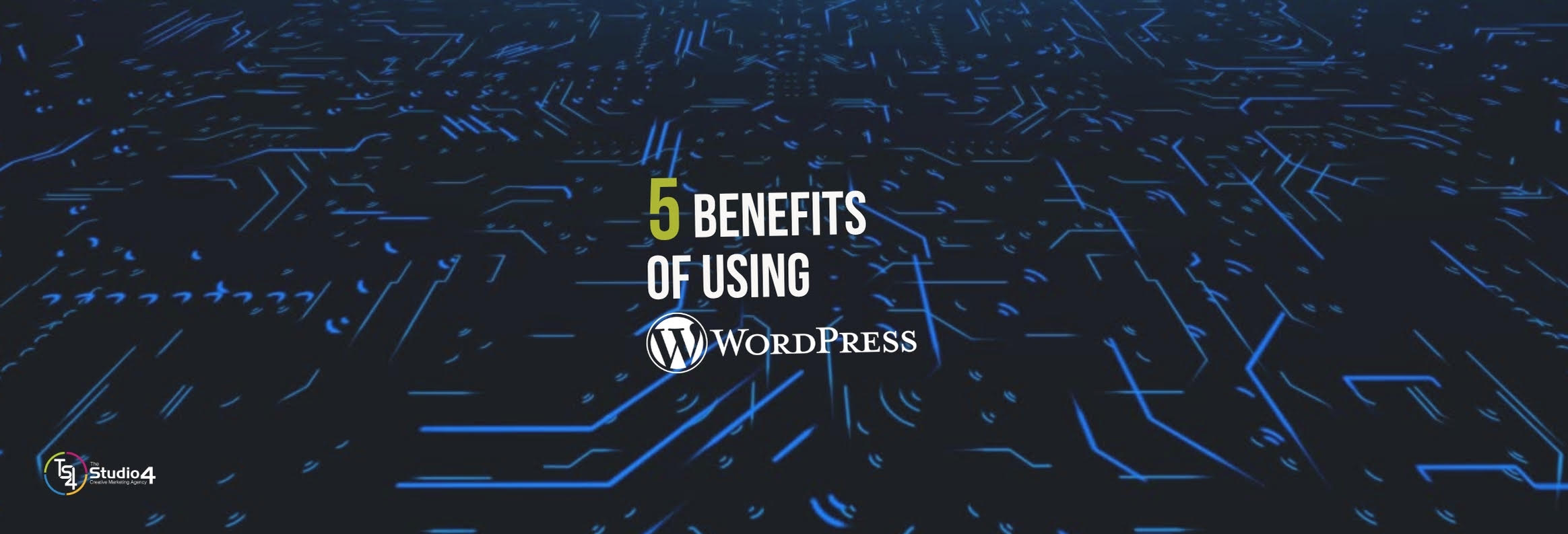5 Benefits Of Using WordPress Banner Image