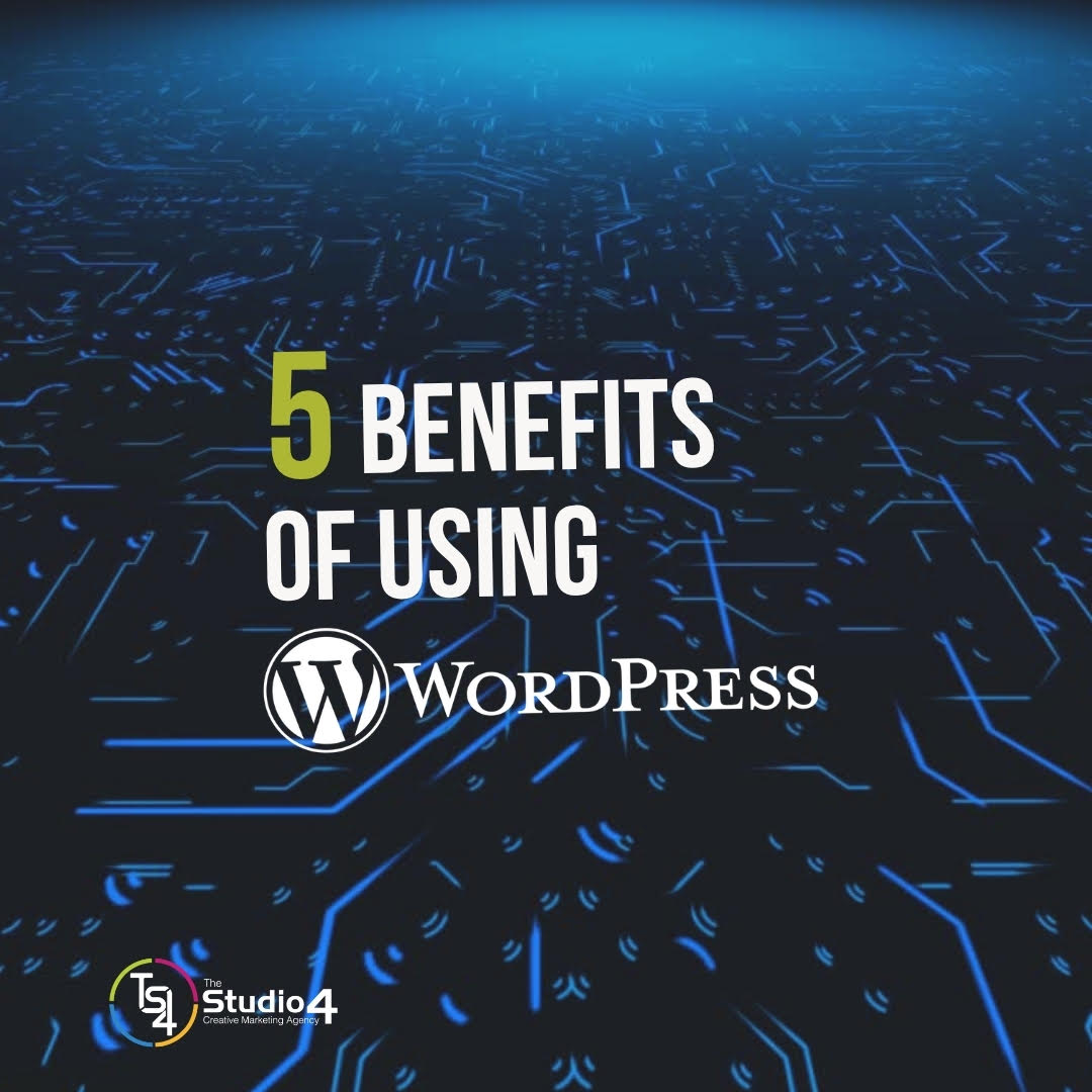 5 Benefits Of Using WordPress 